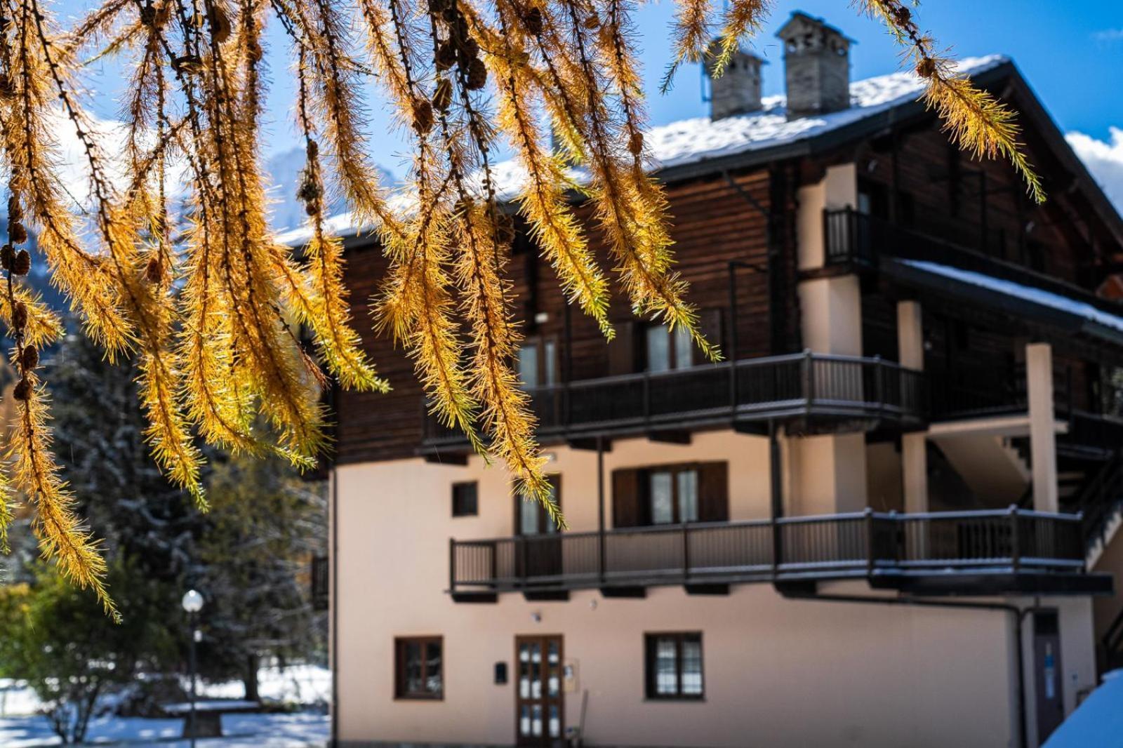 Alpine Forest Hotel Champoluc Exterior foto