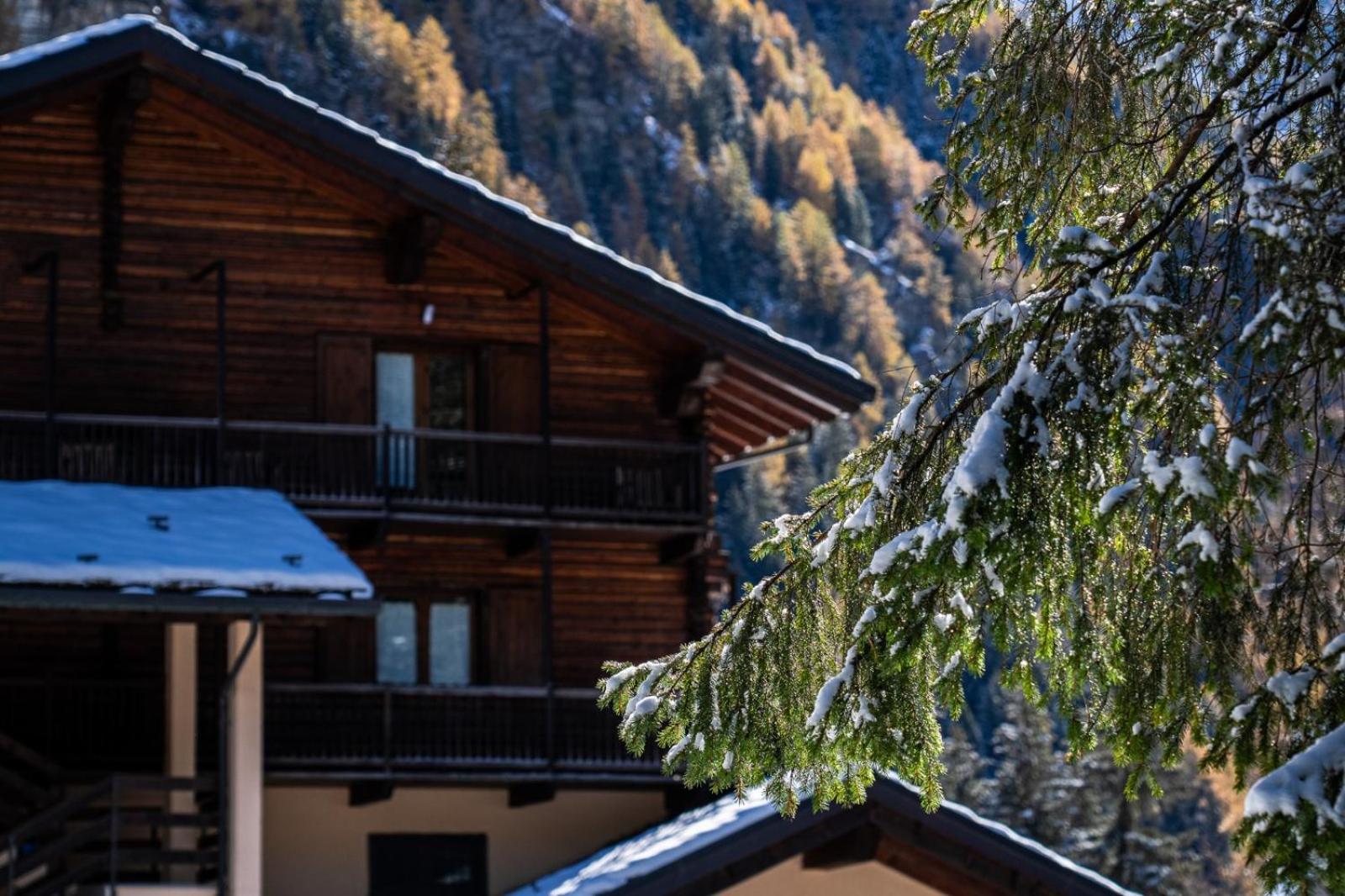 Alpine Forest Hotel Champoluc Exterior foto